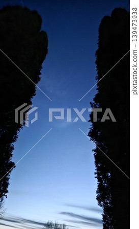 Deep blue twilight sky with first stars visible between two dark silhouettes of tall cypress trees. Concept of peace and evening serenity Deep blue twilight sky with first stars visible between two dark silhouettes of tall cypress trees. Concept of peace and evening serenity 139473938
