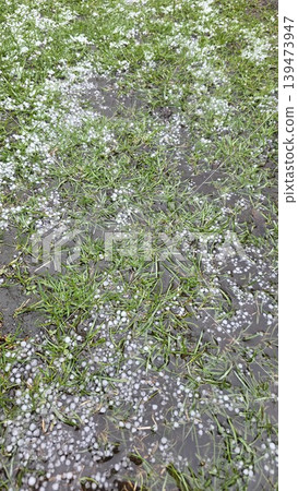 Hailstones scattered over wet grass and puddles after spring storm, natural weather texture for climate, precipitation and seasonal change concepts. Hailstones scattered over wet grass and puddles after spring storm, natural weather texture for climate, precipitation and seasonal change concepts. 139473947