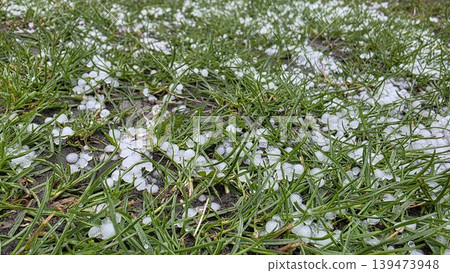 Close-up of hail on green grass after rain, fresh seasonal weather background for spring storm, cold snap, precipitation and environmental themes. Close-up of hail on green grass after rain, fresh seasonal weather background for spring storm, cold snap, precipitation and environmental themes. 139473948