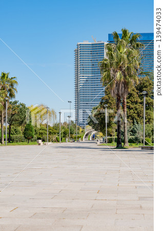 A green city park with trees and modern residential buildings in the background. A green city park with trees and modern residential buildings in the background. 139474033