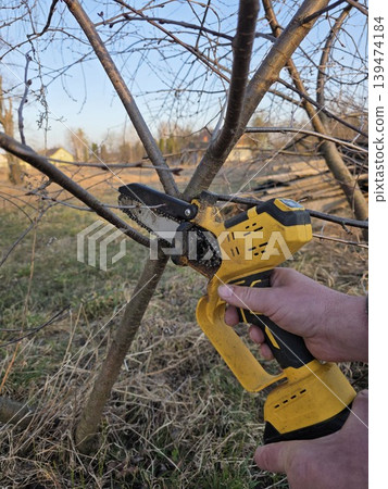 Man uses small yellow battery-powered chainsaw to prune thin branches of a young fruit tree in early spring against a rural landscape background. Concept of seasonal garden care Man uses small yellow battery-powered chainsaw to prune thin branches of a young fruit tree in early spring against a rural landscape background. Concept of seasonal garden care 139474184