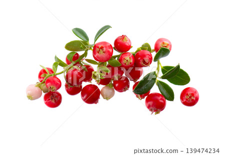 Fresh cowberry berries with leaves, isolated on white background. Ripe cranberry, cowberry, lingonberry. Clipping path. Fresh cowberry berries with leaves, isolated on white background. Ripe cranberry, cowberry, lingonberry. Clipping path. 139474234