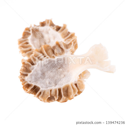Morel mushroom isolated on white background. Morchella esculenta. Spring edible fungi. Clipping path. 139474236