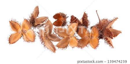 Beechnuts seeds isolated on white background. European beech nuts or Fagus sylvatica. Clipping path. Beechnuts seeds isolated on white background. European beech nuts or Fagus sylvatica. Clipping path. 139474239