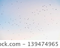 Birds fly across pastel pale sky, scattered silhouettes and wide copy space for background, travel, migration, nature, wildlife themes. Concept of freedom, movement, migration birds in open sky 139474965