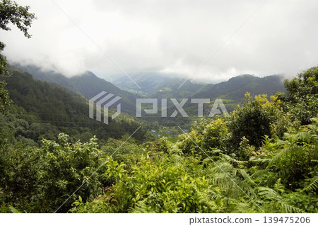 喜馬拉雅山麓綿延著一片霧氣繚繞的森林景觀。 喜馬拉雅山麓綿延著一片霧氣繚繞的森林景觀。 139475206