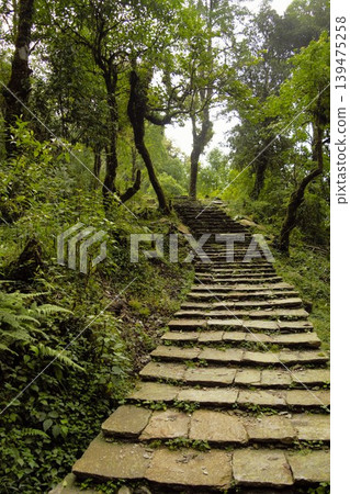 Stone steps in the lush natural landscape of the Nepalese mountain region 139475258