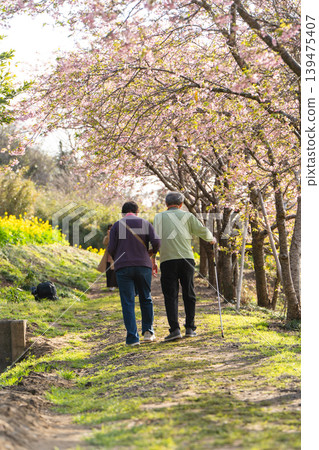 People walking side by side along the row of Kawazu cherry trees at Iwai Weir. People walking side by side along the row of Kawazu cherry trees at Iwai Weir. 139475407