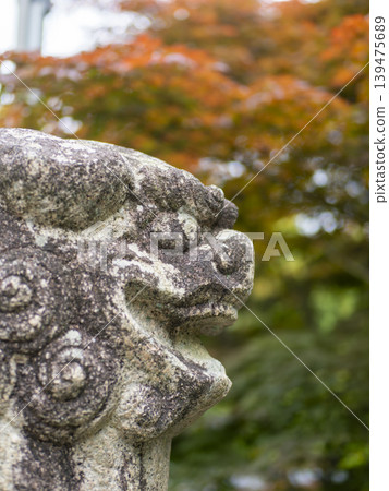 神社守護獅雕像的特寫鏡頭 神社守護獅雕像的特寫鏡頭 139475689