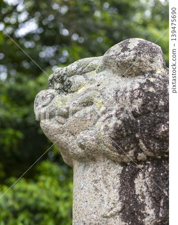 神社守護獅雕像的特寫鏡頭 神社守護獅雕像的特寫鏡頭 139475690