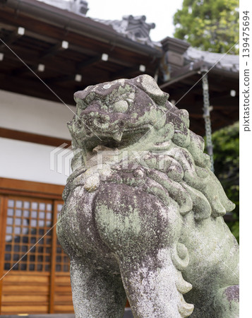神社守護獅雕像的特寫鏡頭 139475694