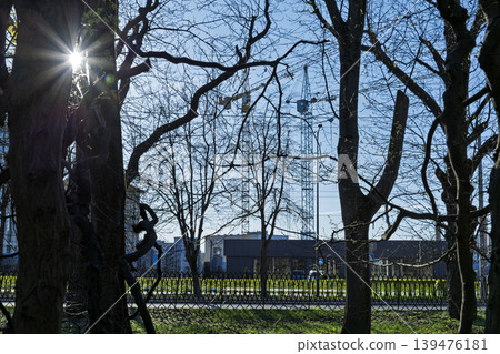 Construction Cranes Behind Spring Trees at Bright Sunset in the City 139476181