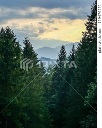 Mountain Landscape of Yablunytskyi Pass with Village Houses and Green Hills Mountain Landscape of Yablunytskyi Pass with Village Houses and Green Hills 139476251