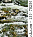 Close-up of Rushing River Water Over Mossy Rocks in Carpathian Mountains 139476256