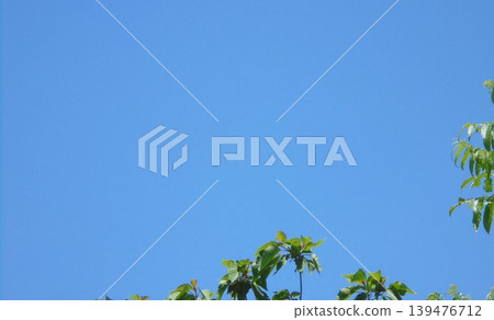 Fresh green blue sky Fresh green blue sky 139476712