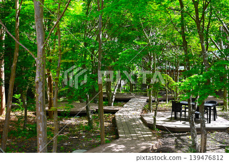 Cafe in the forest Cafe in the forest 139476812