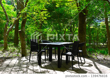 Cafe in the forest Cafe in the forest 139476816
