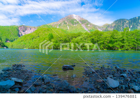 【壯麗景色】上高地初夏：大正池與燒山在翠綠的背景下【長野縣】 139476881