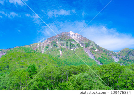 [Spectacular Scenery] Early Summer in Kamikochi: Taisho Pond and Mt. Yake amidst the fresh greenery [Nagano Prefecture] 139476884
