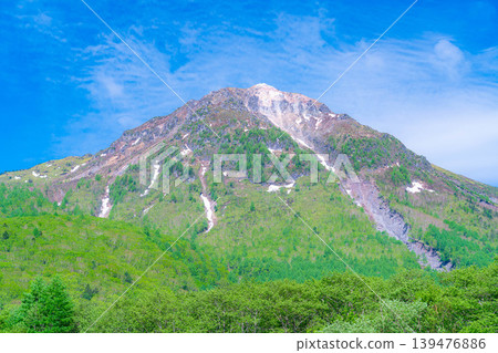 【壯麗景色】上高地初夏:大正池與燒山在翠綠的背景下【長野縣】 【壯麗景色】上高地初夏:大正池與燒山在翠綠的背景下【長野縣】 139476886