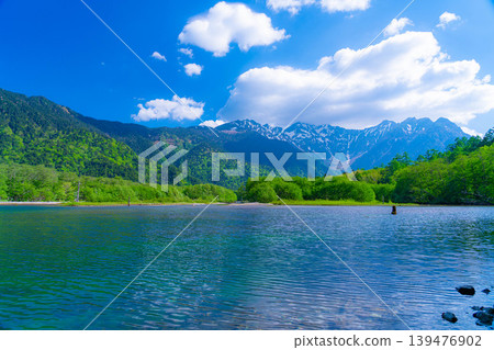 【壯麗景色】上高地初夏：大正池與穗高山脈綠意盎然【長野縣】 139476902