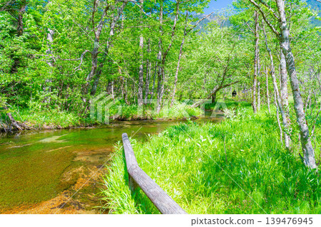 [Spectacular Scenery] Kamikochi's Tashiro Marsh and Fresh Greenery in Early Summer [Nagano Prefecture] 139476945