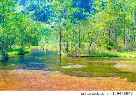 [Spectacular Scenery] Kamikochi's Tashiro Marsh and Fresh Greenery in Early Summer [Nagano Prefecture] 139476948