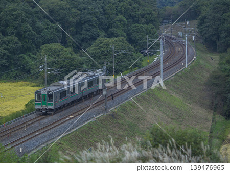 基哈火車穿過一片蒲葦草地。 139476965