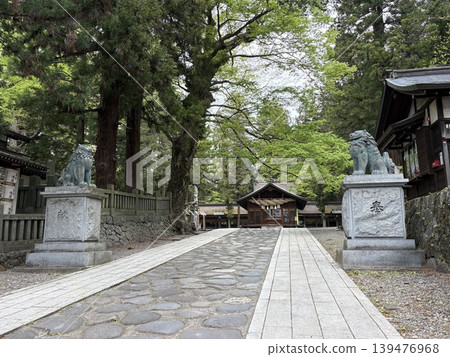 Springtime at Suwa Grand Shrine 139476968