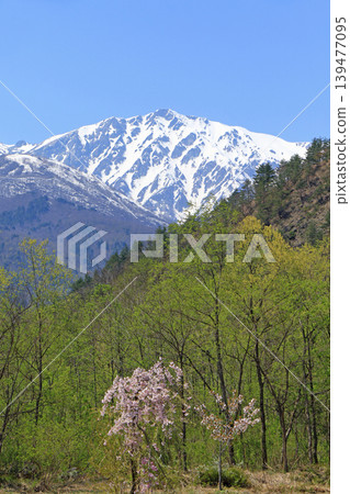 白馬山的春天:從山腳下眺望白馬山。 白馬山的春天:從山腳下眺望白馬山。 139477095
