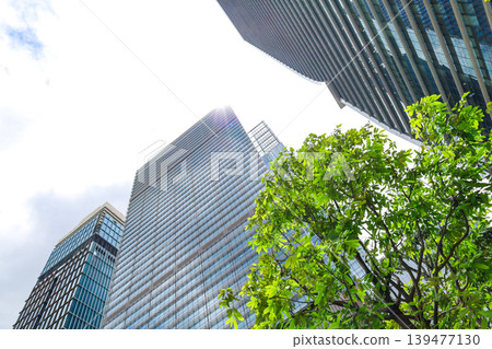 Landscape of the office town looking up at a skyscraper Landscape of the office town looking up at a skyscraper 139477130