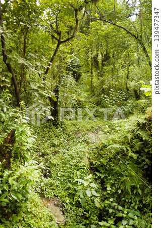 The rich natural scenery of the Annapurna trekking route The rich natural scenery of the Annapurna trekking route 139477347