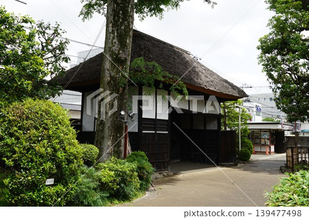 重要文化遺產 世田谷代官屋敷正門 - 5月,世田谷 1425 世田谷代官屋敷正門/大場家住宅 重要文化遺產 世田谷代官屋敷正門 - 5月,世田谷 1425 世田谷代官屋敷正門/大場家住宅 139477498