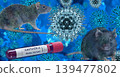 HANTAVIRUS Andes variant. Blood test with Hantavirus and mice 139477802
