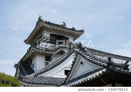 Kochi Castle 139478015