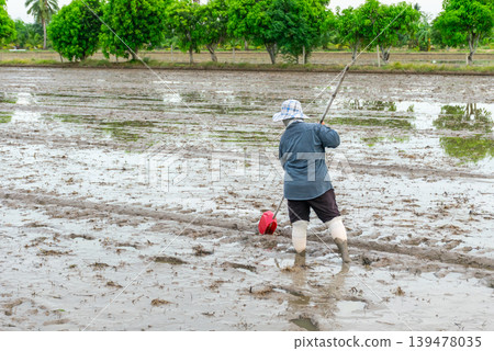 Farmer works in muddy rice field preparing soil for planting during rainy season with tropical trees and rural agricultural landscape in countryside farmland Farmer works in muddy rice field preparing soil for planting during rainy season with tropical trees and rural agricultural landscape in countryside farmland 139478035