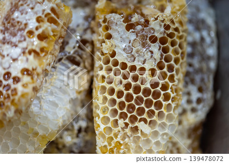 Macro view of fresh honeycomb with natural golden honey and wax cells showing organic beekeeping texture and sweet food background Macro view of fresh honeycomb with natural golden honey and wax cells showing organic beekeeping texture and sweet food background 139478072