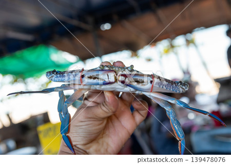 Closeup of fresh blue crab held by hand at local seafood market with shallow depth and natural coastal atmosphere 139478076