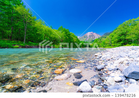 【壯麗景色】上高地初夏:梓川和燒山的蔥鬱綠意【長野縣】 【壯麗景色】上高地初夏:梓川和燒山的蔥鬱綠意【長野縣】 139478216