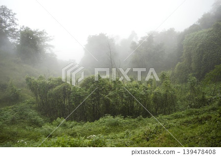 澳洲營地周圍的鄉村景色籠罩在霧氣之中。 澳洲營地周圍的鄉村景色籠罩在霧氣之中。 139478408