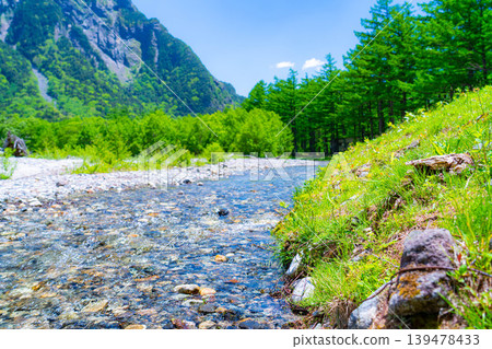 [Spectacular Scenery] Early Summer in Kamikochi: The lush greenery of the Hotaka mountain range and the Azusa River [Nagano Prefecture] 139478433