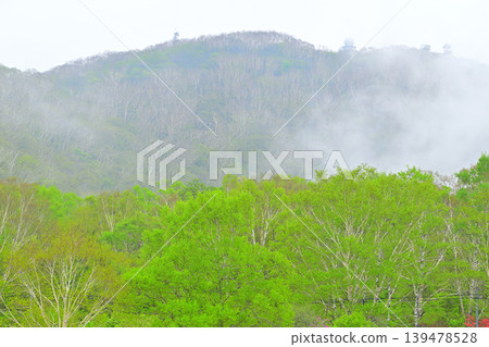 Akagi Shirakaba Ranch: A view of fresh greenery, a spring landscape. Akagi Shirakaba Ranch: A view of fresh greenery, a spring landscape. 139478528