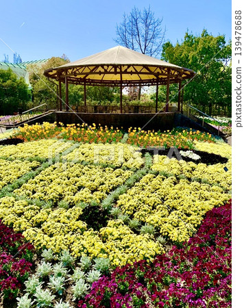A colorful flowerbed adorned with tulips and pansies in full bloom <Anjo Industrial Culture Park Denpark/Anjo City, Aichi Prefecture> A colorful flowerbed adorned with tulips and pansies in full bloom <Anjo Industrial Culture Park Denpark/Anjo City, Aichi Prefecture> 139478688