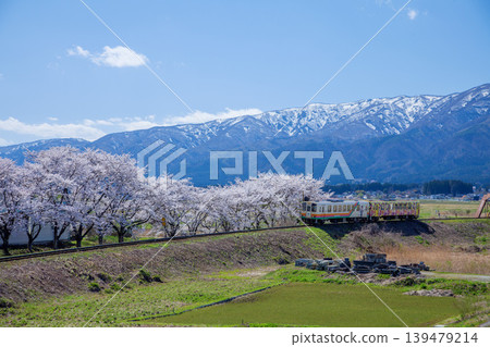 Cherry blossoms and local train 139479214