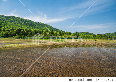 Rural landscape of the northern part of Lake Biwa: Rice paddies filled with water, Nishi-Asai-cho, Nagahama City, Shiga Prefecture 139479395