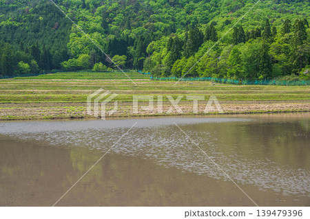 滋賀郡長濱市西淺井町奧琵琶湖的田園風光：充滿水的稻田 139479396
