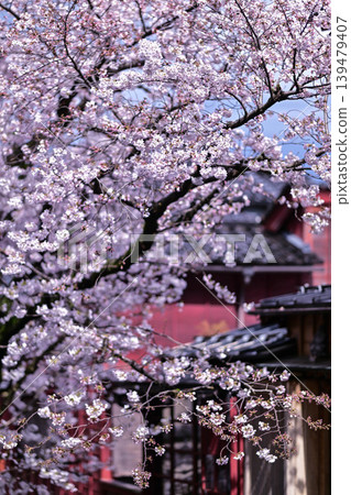 Beautiful cherry blossoms at Kazuemachi Chaya District Beautiful cherry blossoms at Kazuemachi Chaya District 139479407