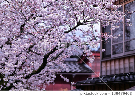 Beautiful cherry blossoms at Kazuemachi Chaya District Beautiful cherry blossoms at Kazuemachi Chaya District 139479408