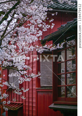 Beautiful cherry blossoms at Kazuemachi Chaya District Beautiful cherry blossoms at Kazuemachi Chaya District 139479412