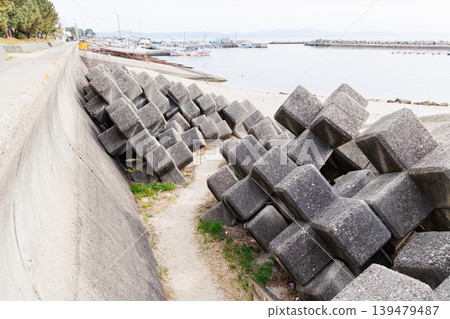 兵庫縣明石市魚住漁港的角四足動物。 兵庫縣明石市魚住漁港的角四足動物。 139479487